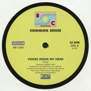 Common Sense — Voices Inside My Head cover