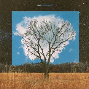 Fink — Bloom Innocent cover
