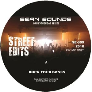 Sean Sounds — Bringtheheat Series cover