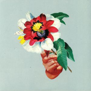 Maribou State — Kingdoms In Colour cover