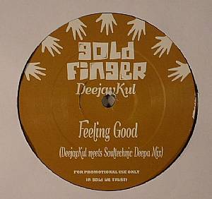 Deejaykul — Feeling Good cover