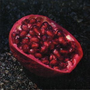 Perdu — Skye EP cover
